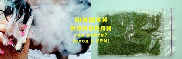 гашик Гусь-Хрустальный